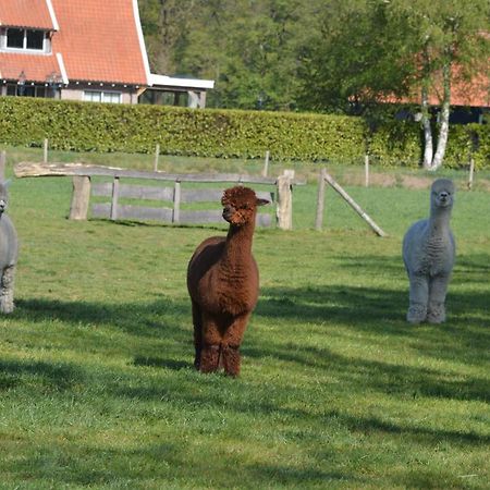 Erve Grootenhuys Deurningen Bagian luar foto