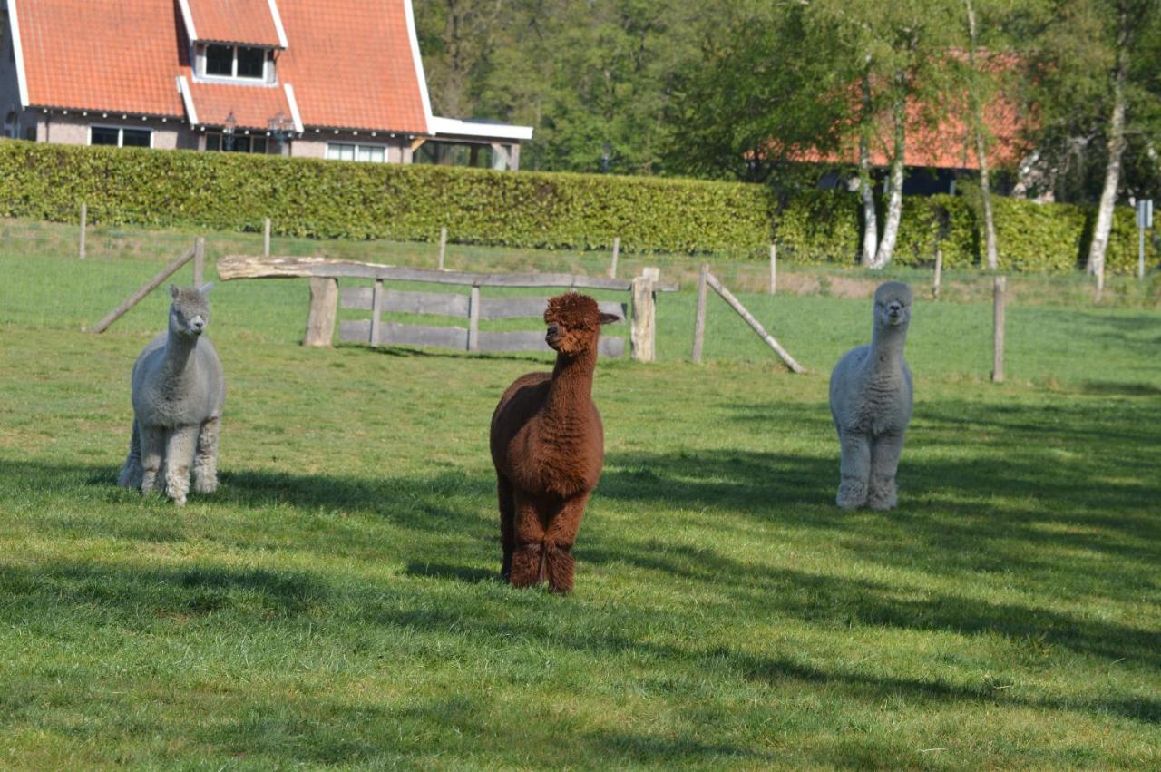 Erve Grootenhuys Deurningen Bagian luar foto